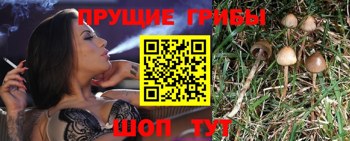 Галлюциногенные грибы мухоморы  Вход с VPN  Звенигород 