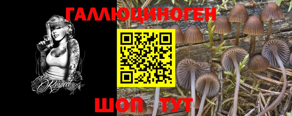 Галлюциногенные грибы ЛСД Звенигород